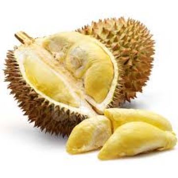 bibit durian monthong